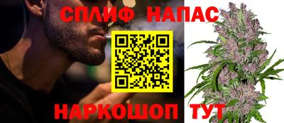 стаф Кунгур