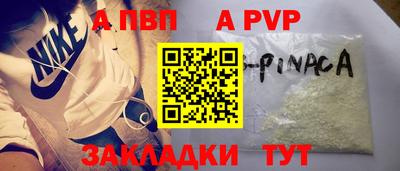 стаф Кунгур