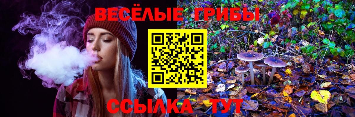 Псилоцибиновые грибы мицелий  Псилоцибиновые грибы прущие грибы  Вход с VPN  Кизляр 